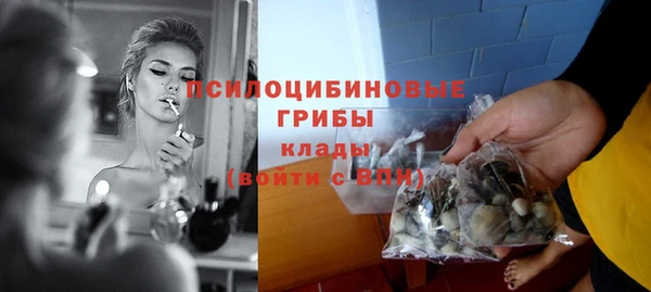 ECSTASY Няндома
