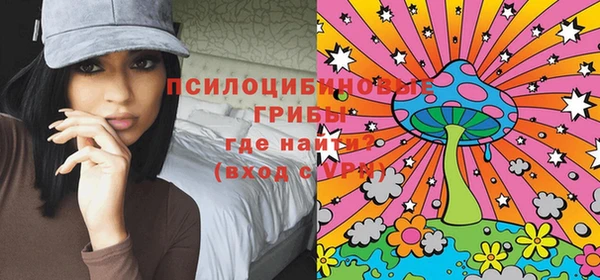 молекула духа Алексин