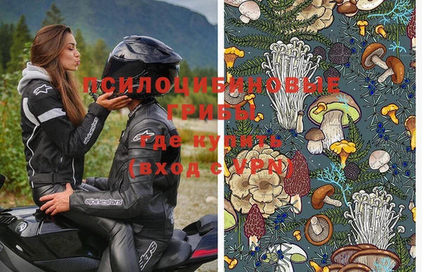 молекула духа Алексин