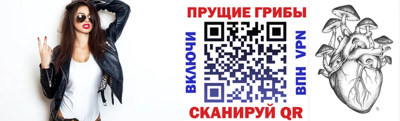 shop какой сайт  цена наркотик  Щигры  Галлюциногенные грибы мицелий 